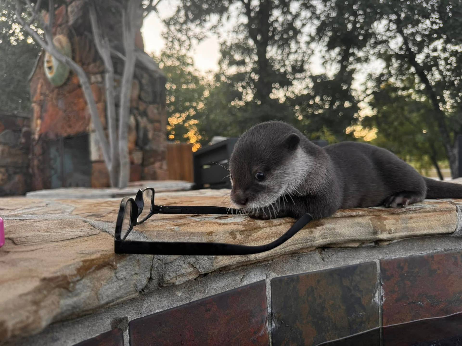 Tiny explorer on the stone ledge
