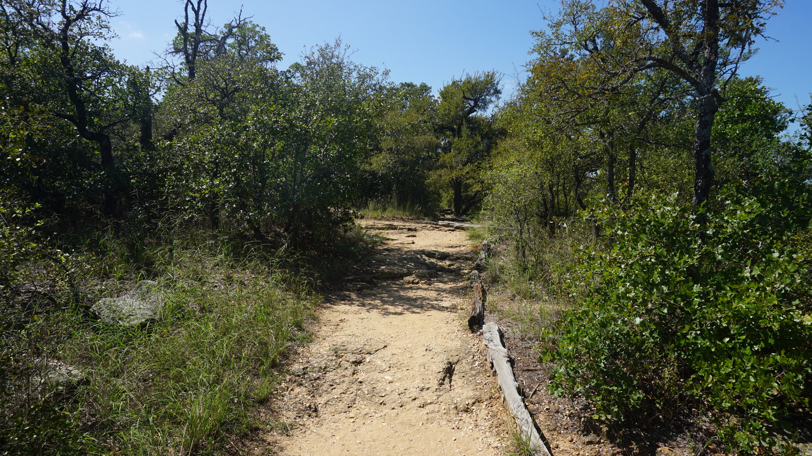 Penitentiary Hollow trail at Lake Mineral Wells State Park