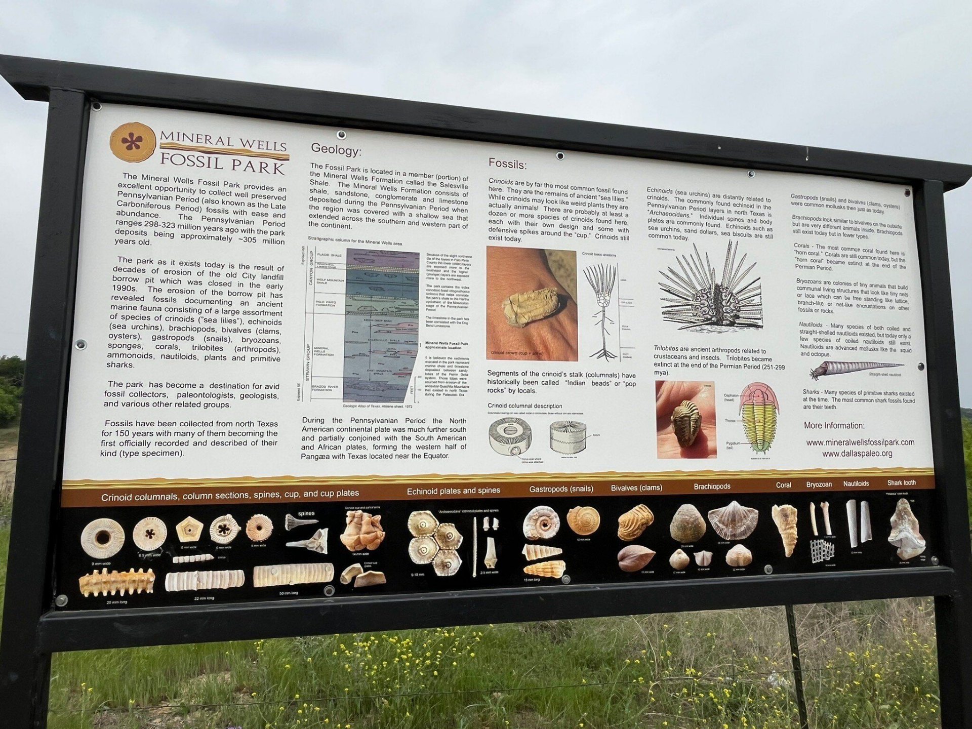 Mineral Wells Fossil Park interpretive sign detailing geology and fossil finds