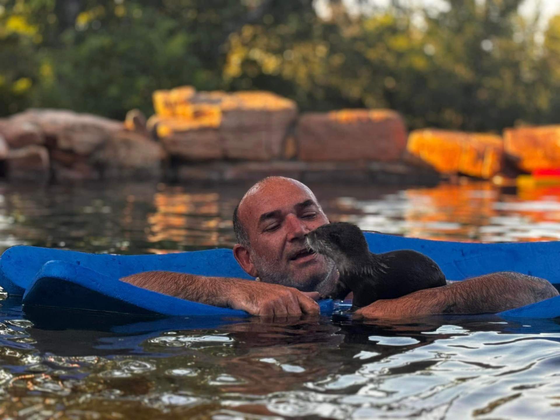Guest floating on a blue pool raft while a river otter rests on his shoulder during a guided otter encounter.