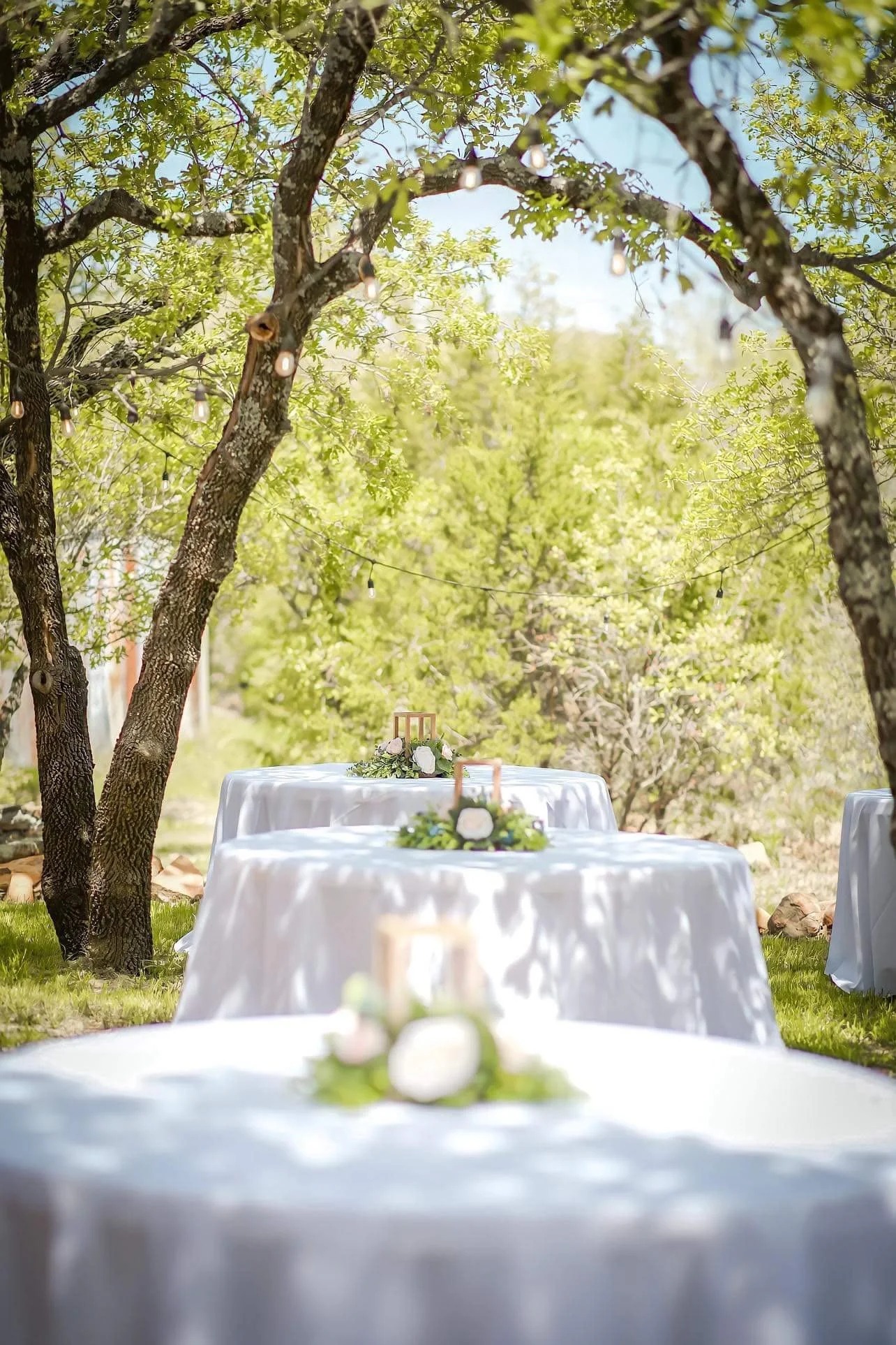 Outdoor dinner setup