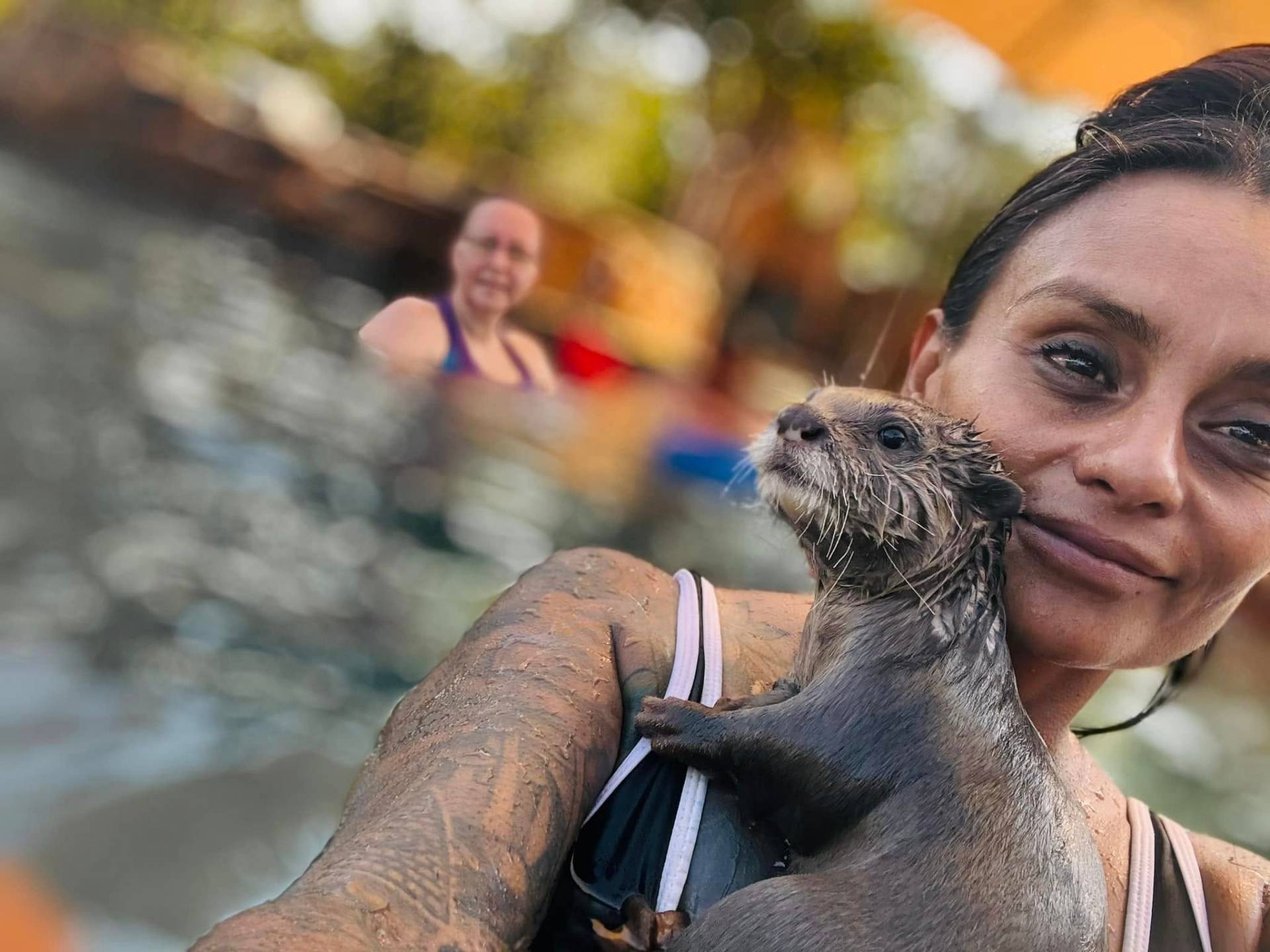 Otter selfies