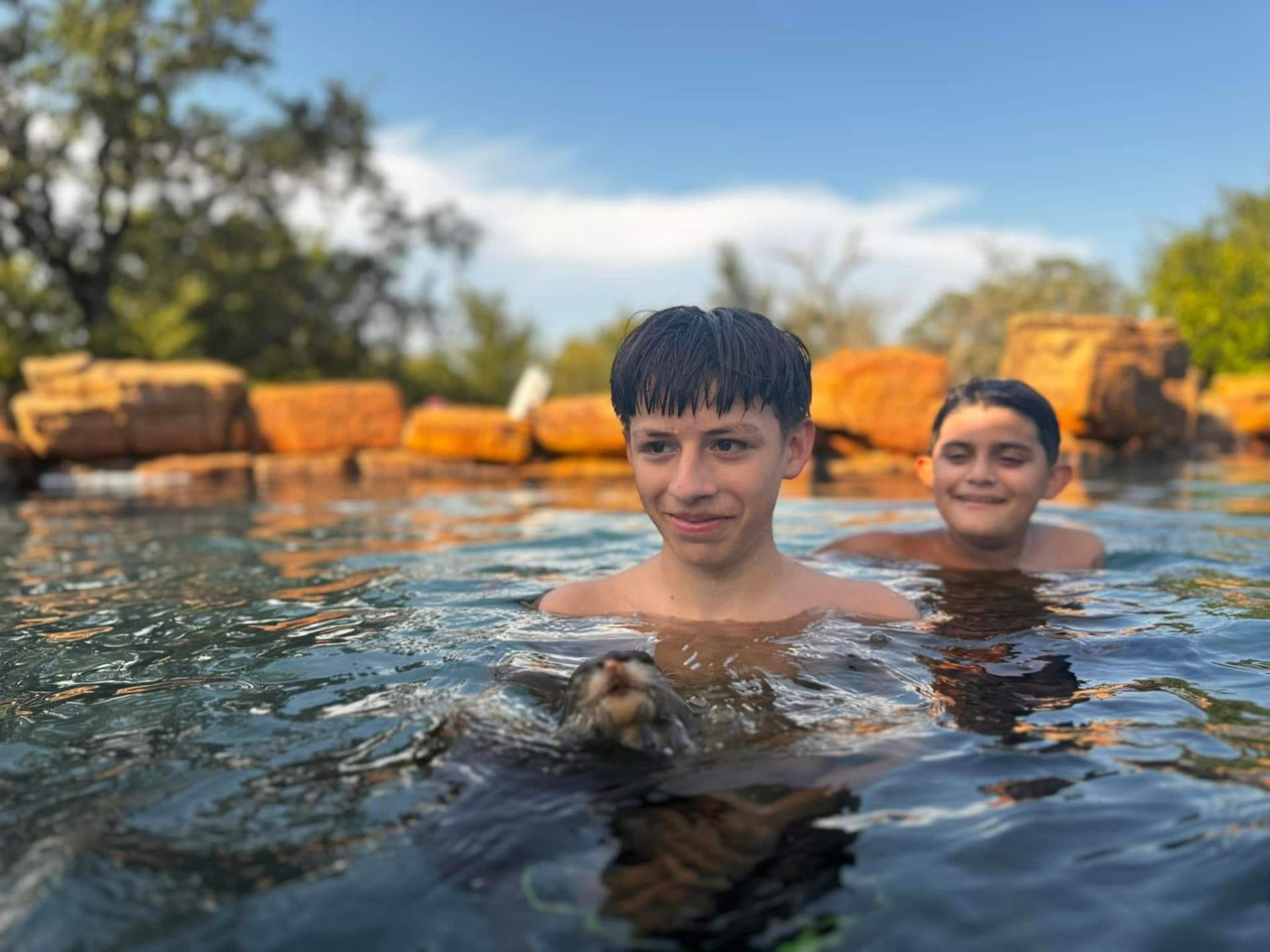 Swim time with the guests