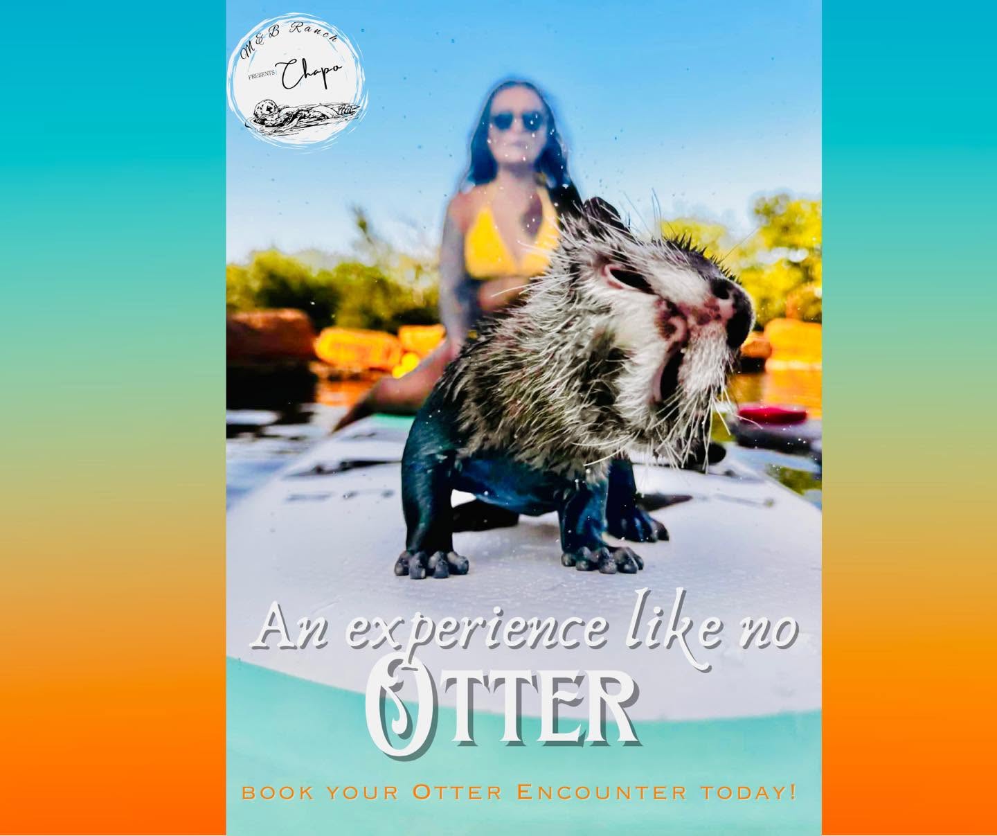 An experience like no otter — book your otter encounter today at M&B Ranch