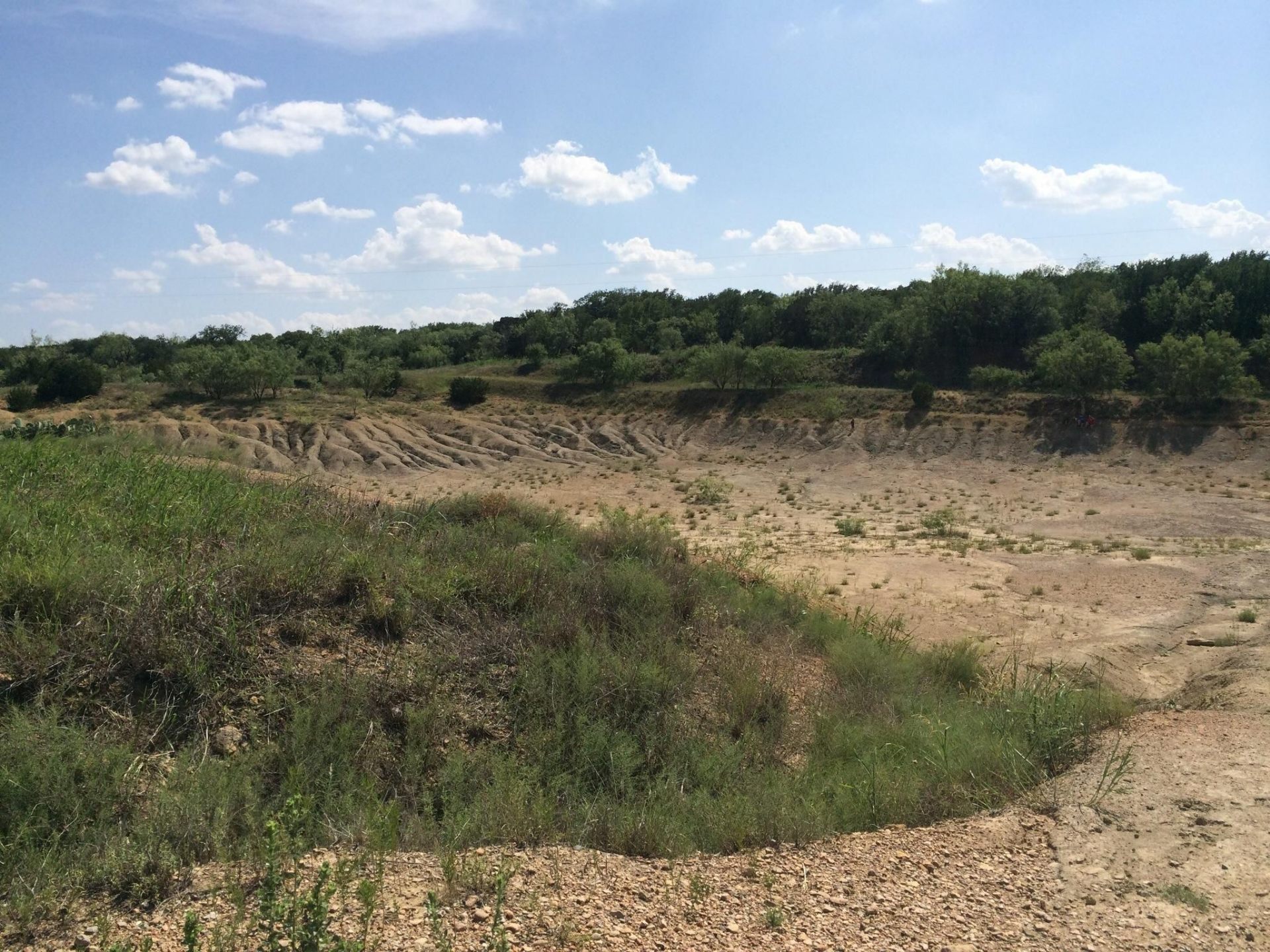 The eroded fossil-collecting landscape at Mineral Wells Fossil Park