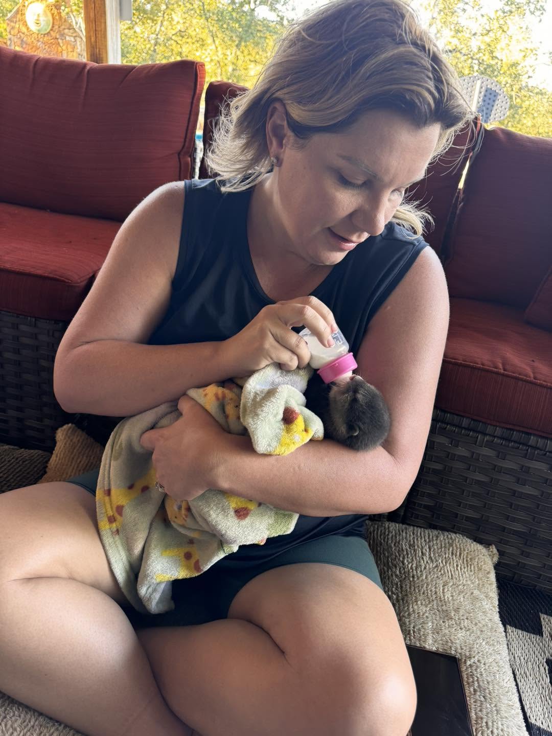 Bottle-feeding the baby otter