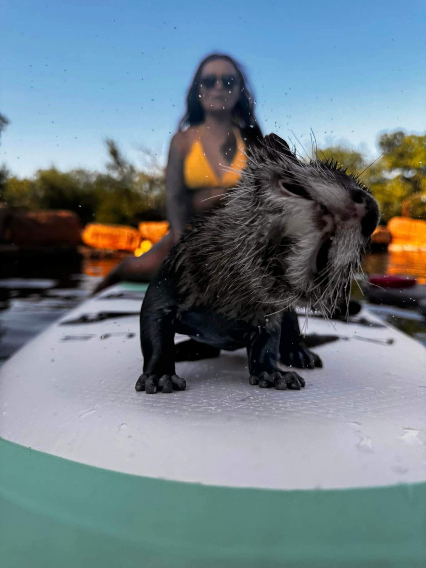 Paddleboard co-captain